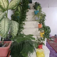 ملک-90-متری