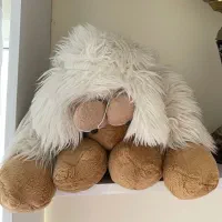 چند مدل عروسک|اسباب‌بازی بچه|رشت, کوی مهر|دیوار