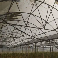 سازه گلخانه|عمده‌فروشی|جلگه رخ, |دیوار