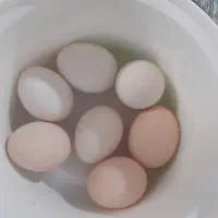 تخم مرغ ارگانیک|خوردنی و آشامیدنی|اصفهان, شاهد|دیوار