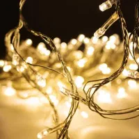 ریسه سوزنی طلایی