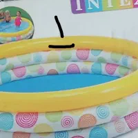 پخش انواع استخر بادی تک و عمده