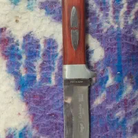 شادگان|کوهنوردی و کمپینگ|شادگان, |دیوار