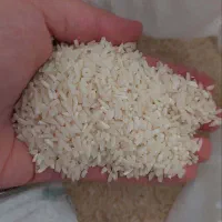 برنج طارم هاشمی  آمل  30000تومان زیر قیمت بازار|خوردنی و آشامیدنی|شاهرود, |دیوار