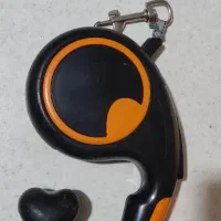 باکس سگ و قلاده ست|لوازم جانبی حیوانات|هشتگرد, شهرک ارم شرقی|دیوار