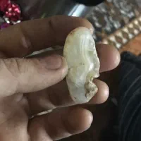 سنگ قیمتی|کلکسیون اشیاء عتیقه|جلفا, |دیوار