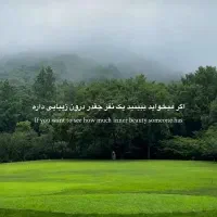 پارتنر زبان انگلیسی