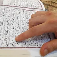 سرکتاب. تضمینی.