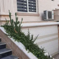 رهن کامل یک واحد دو طبقه یکجا|اجارهٔ خانه و ویلا|خورموج, |دیوار