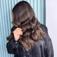 دستیار رنگ و لایت