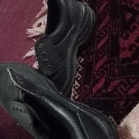 کفش ایمنی کفش کار