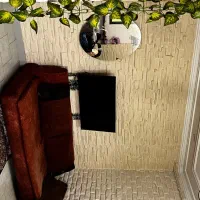 نیازمند-همخانه