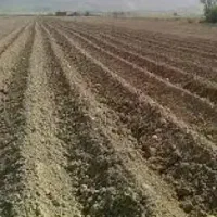 زمین-کشاورزی-یک-هکتار