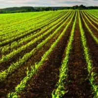 زمینی-ب-عرض-1000-متر