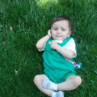 یک جفت عروس نر و ماده و یک جفت مرغ عشق و یهفنج نر