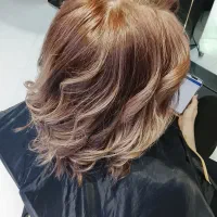 رنگ ولایت تخصصی