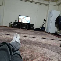 جفت فرش 9 متری ماشینی ماهی در حد نو