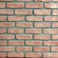 آجر دکوراتیو آجر هلندی، آجر تی وی وال،آجر تزیینی|مصالح و تجهیزات ساختمان|تهران, شهید رجایی|دیوار