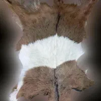 پوست بز|صنایع دستی و سایر لوازم تزئینی|تهران, مدائن|دیوار