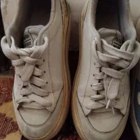 کفش|کیف، کفش، کمربند|سبزوار, شرق کال عیدگاه|دیوار