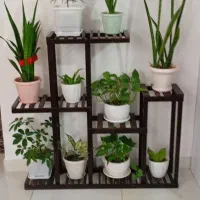 استند گل|صنایع دستی و سایر لوازم تزئینی|اردبیل, |دیوار