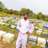 عسل گون گز ، جزئی و کلی|خوردنی و آشامیدنی|نجفآباد, جلال آباد|دیوار