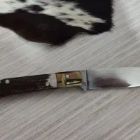 چاقو دسته شاخ کرند|کلکسیون اشیاء عتیقه|کرمانشاه, |دیوار