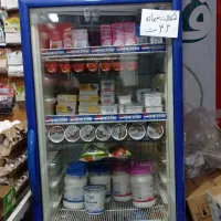 یخچال فریزر استاده