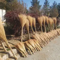 جارو|لوازم نظافت|دهگلان, |دیوار