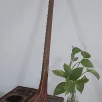 آلات موسیقی