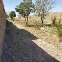 زمین خانه باغ|فروش زمین و ملک کلنگی|تربتحیدریه, بالا ولایت|دیوار