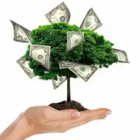 سرمایه گذاری در کافه