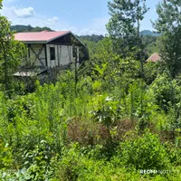 فروش ملک زمیدان،سوستان،سطلسر..موارد مشابه موجوده|فروش زمین و ملک کلنگی|لاهیجان, لیل|دیوار
