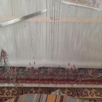 فرش زرنیم|فرش|فیرورق, |دیوار