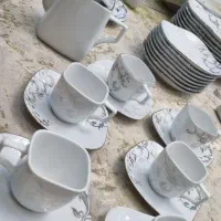 ظروف پذیرایی