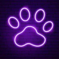 پانسیون سگ و گربه|خدمات پیشه و مهارت|تهران, هروی|دیوار