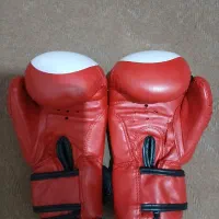 دستکش بوکسNTC|تجهیزات ورزشی|ابهر, |دیوار