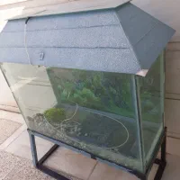 آکواریوم بزرگ به همراه چارپایه آهنی|ماهی|خرمآباد, |دیوار