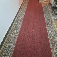 قالیچه و کناره|فرش|اهواز, بهارستان|دیوار