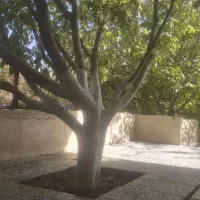 خونه باغ باغچه آشتیان ۴۰۰۰متر