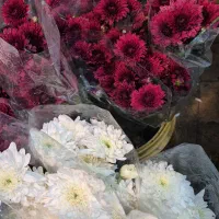 گل آرایی مجالس|گل و گیاه طبیعی|اصفهان, نصرآباد|دیوار