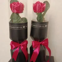 گل روبانی گلی همیشه ماندگار و جاودان