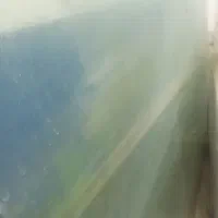 آکواریوم|ماهی|تربت جام, معدآباد|دیوار