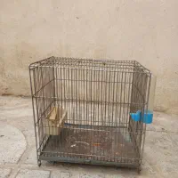 قفس غلامی|لوازم جانبی حیوانات|ماهدشت, |دیوار