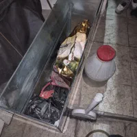اکواریوم بالوازم