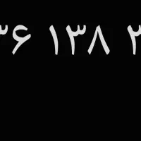 ۰۹۳۶۱۳۸۳۰۰۵