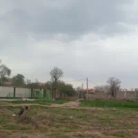 زمین800متر توی بافت در روستای خوش آب و هوا