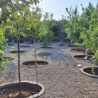 فروش فوری باغ  ویلایی خواجه مرجان