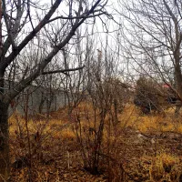 فایل-سرمایه-گذاری-در-600-متر-باغ-ویلایی-زیر-قیمت