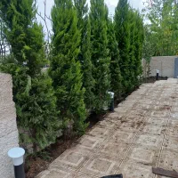 خدمات باغچه شامل هرس سمپاشی علف تراشی ن